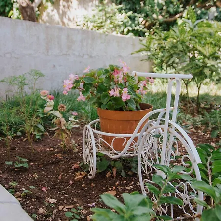 Appartement Dome Trogir