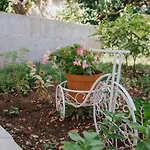 Apartman Dome Trogir